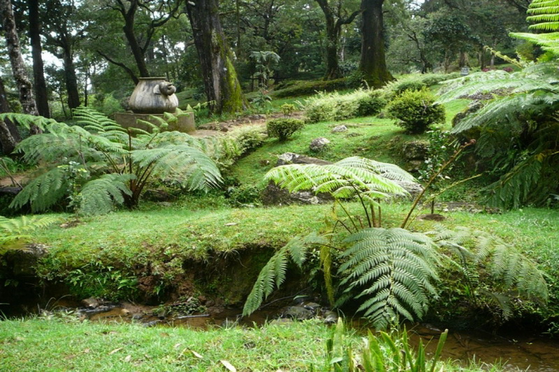 Sri Lanka, Xakgala Botanical Garden